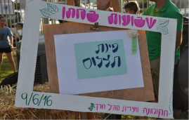 פינת התצלום שבועות2016. קרדיט: קומונת מתן