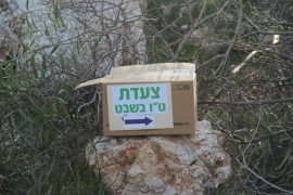 טו בשבט 2017 - שאר התמונות באלבומי האתר. קרדיט: משפחת ווקס תושבי מתן.