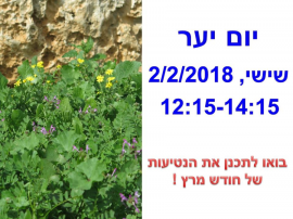 יום יער 02.2.18